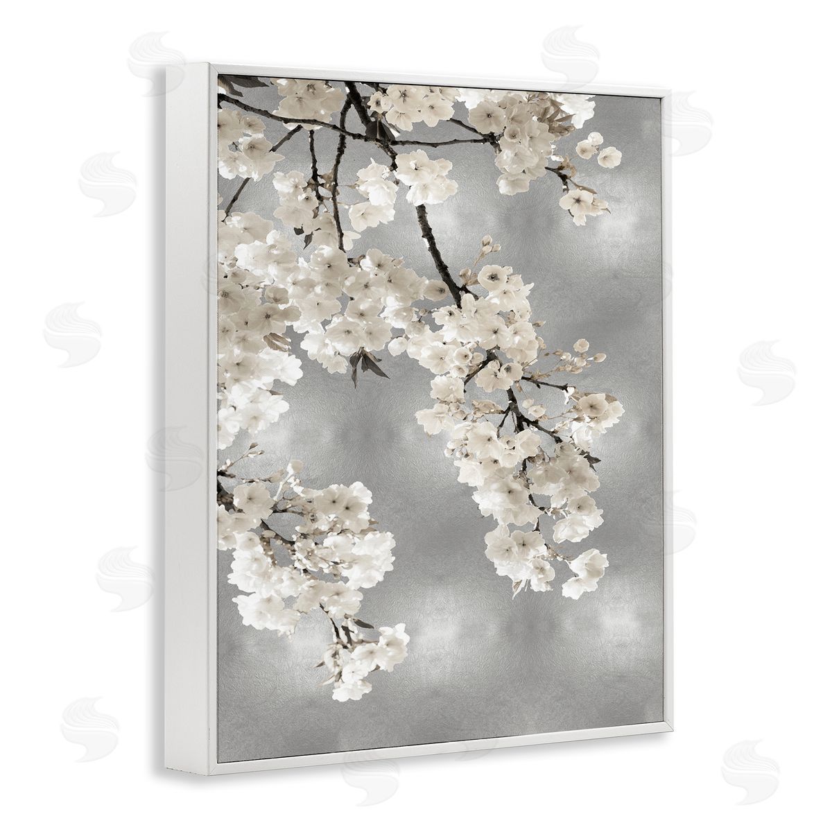Kate Bennett Spring Blossoms White Flowers Tree Branch