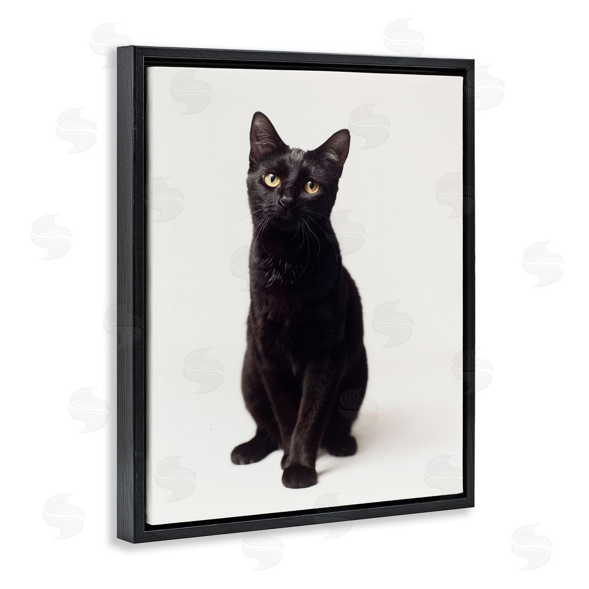 Marika Moffit Cute Black Cat Expressive Eyes Pet Portrait