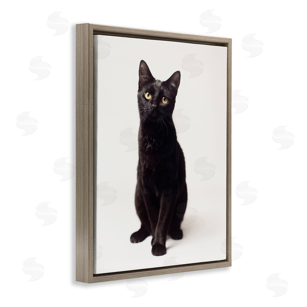 Marika Moffit Cute Black Cat Expressive Eyes Pet Portrait
