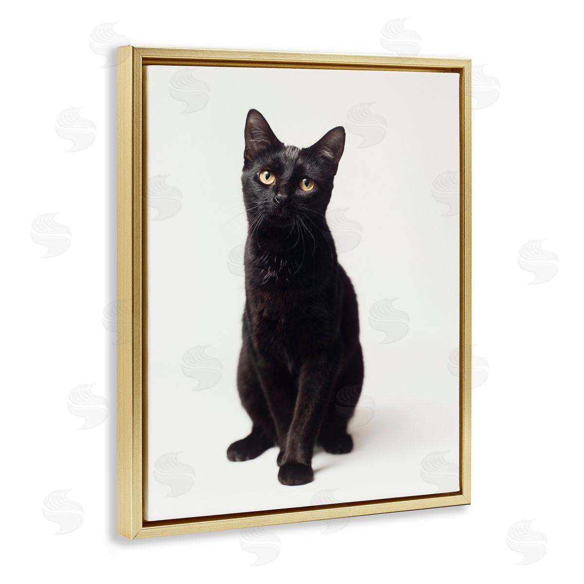 Marika Moffit Cute Black Cat Expressive Eyes Pet Portrait