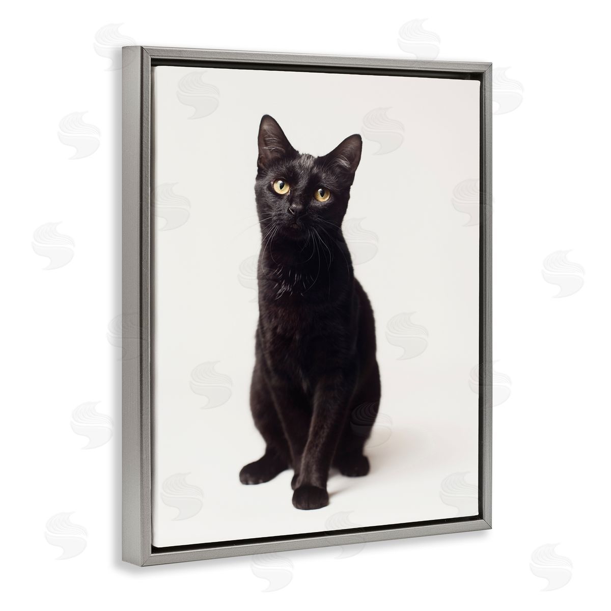 Marika Moffit Cute Black Cat Expressive Eyes Pet Portrait