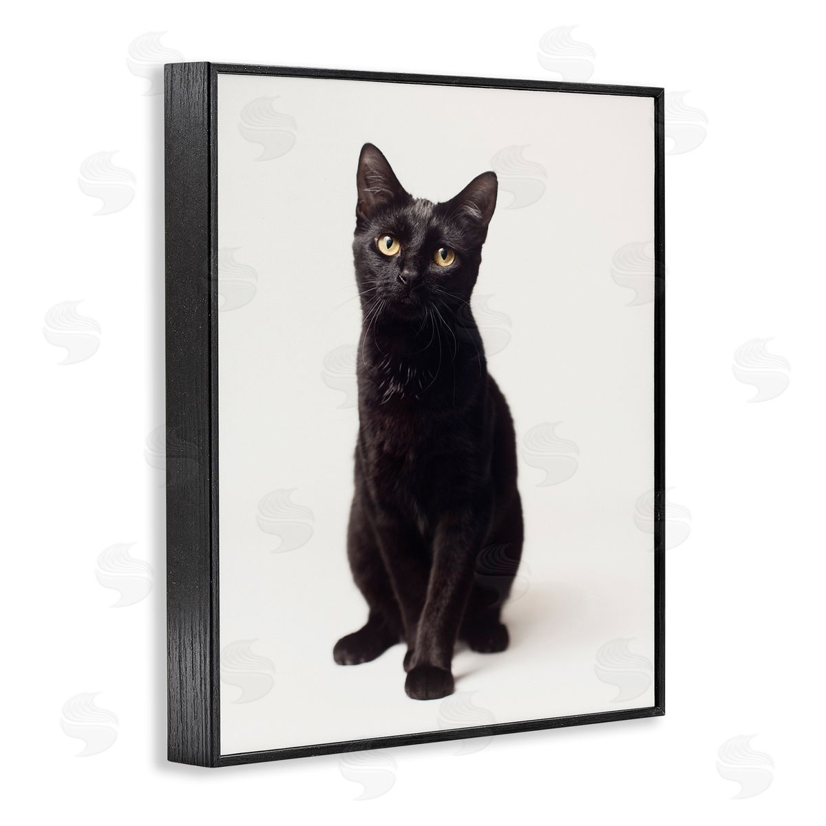 Marika Moffit Cute Black Cat Expressive Eyes Pet Portrait
