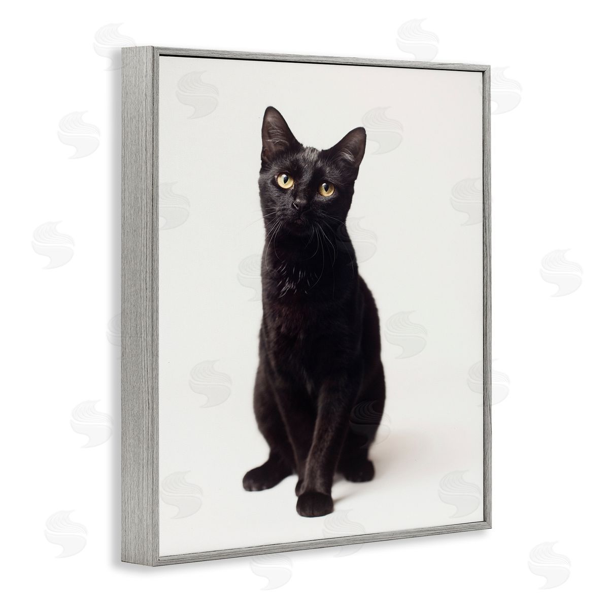 Marika Moffit Cute Black Cat Expressive Eyes Pet Portrait