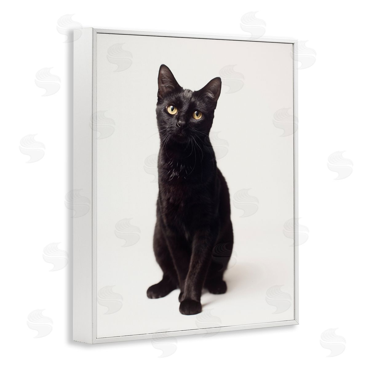 Marika Moffit Cute Black Cat Expressive Eyes Pet Portrait