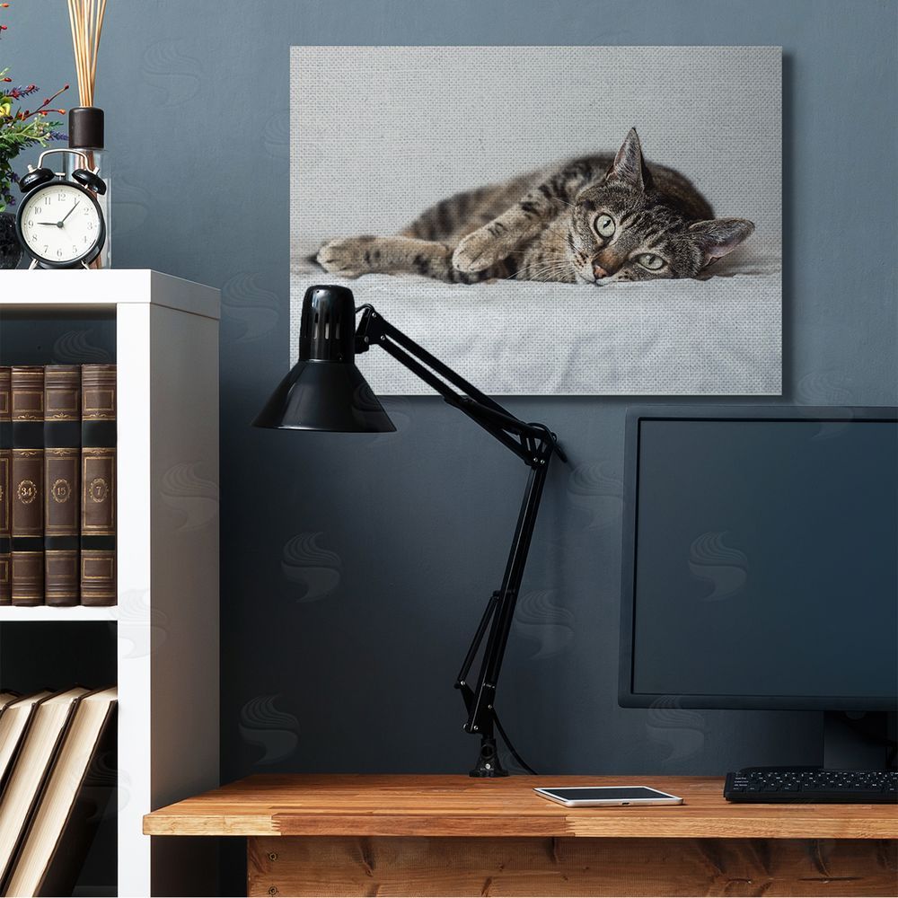 Marika Moffit Relaxed Pet Feline Cat Nap Green Eyes