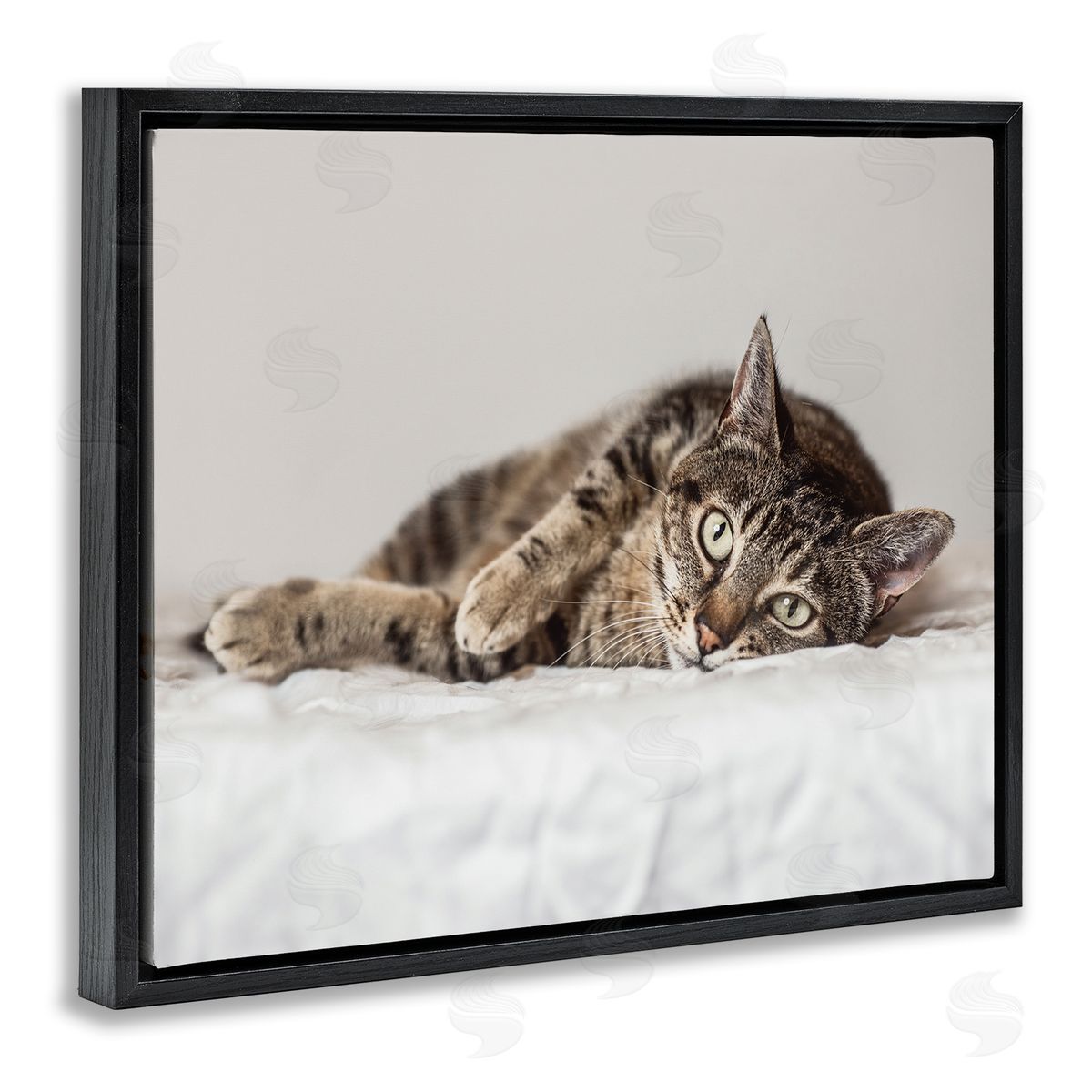 Marika Moffit Relaxed Pet Feline Cat Nap Green Eyes