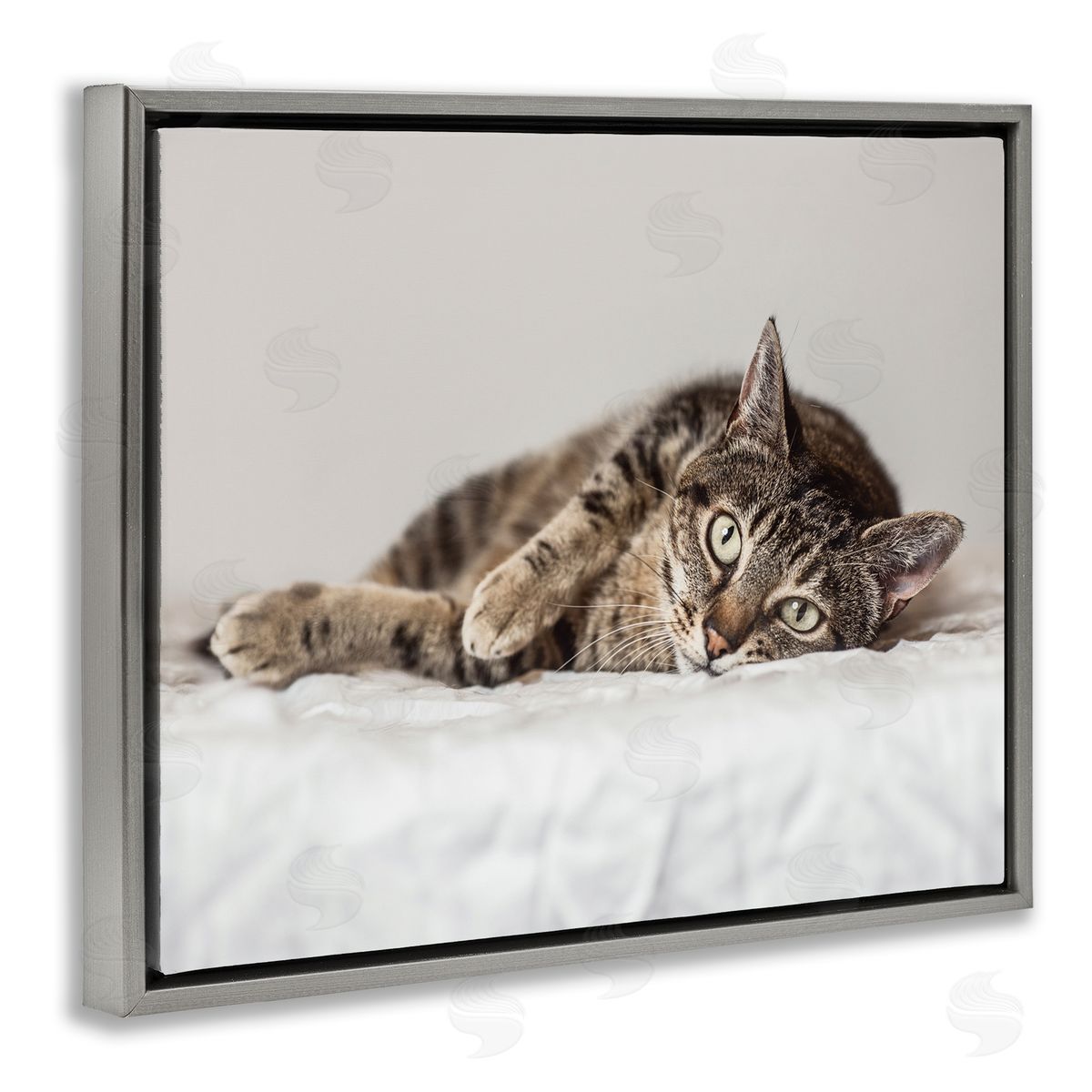 Marika Moffit Relaxed Pet Feline Cat Nap Green Eyes