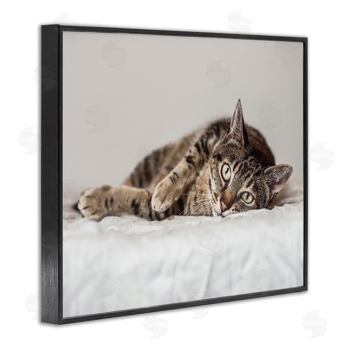 Marika Moffit Relaxed Pet Feline Cat Nap Green Eyes