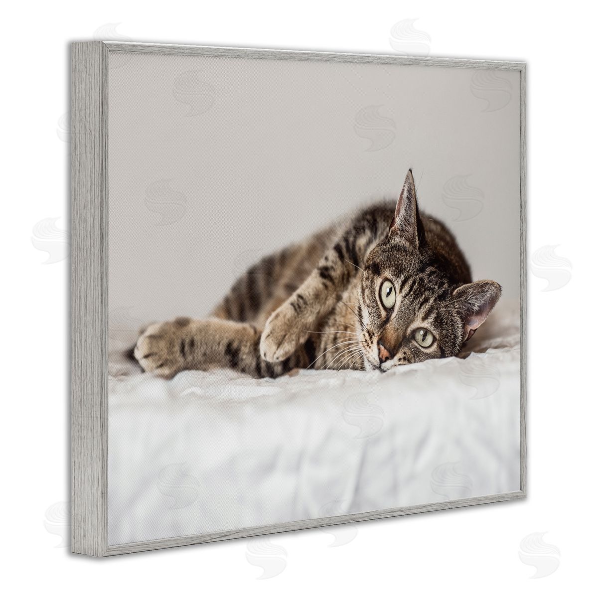 Marika Moffit Relaxed Pet Feline Cat Nap Green Eyes