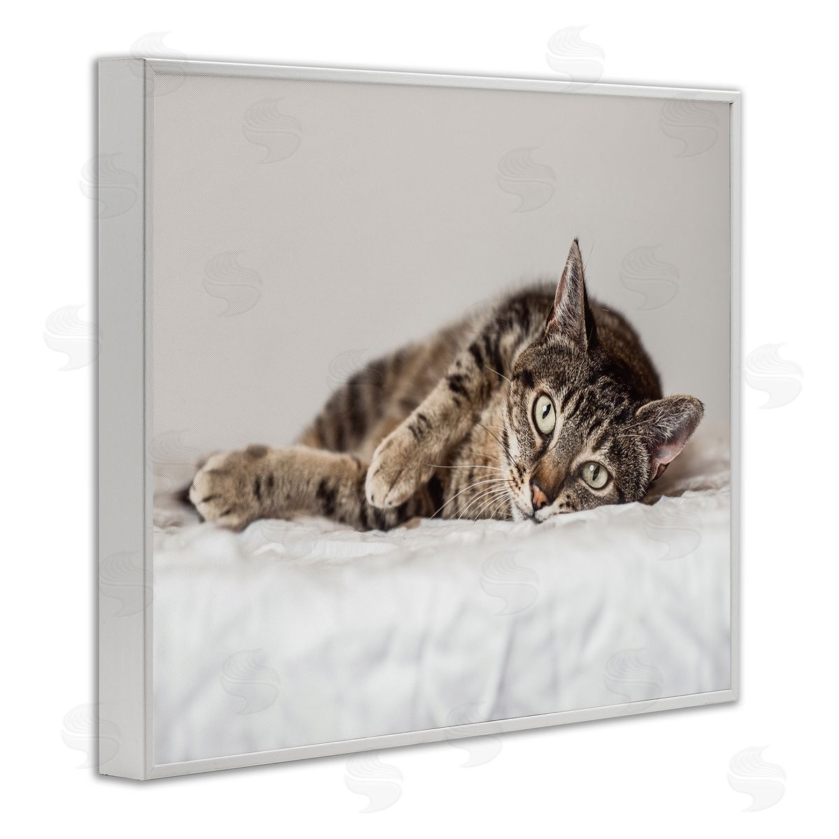 Marika Moffit Relaxed Pet Feline Cat Nap Green Eyes