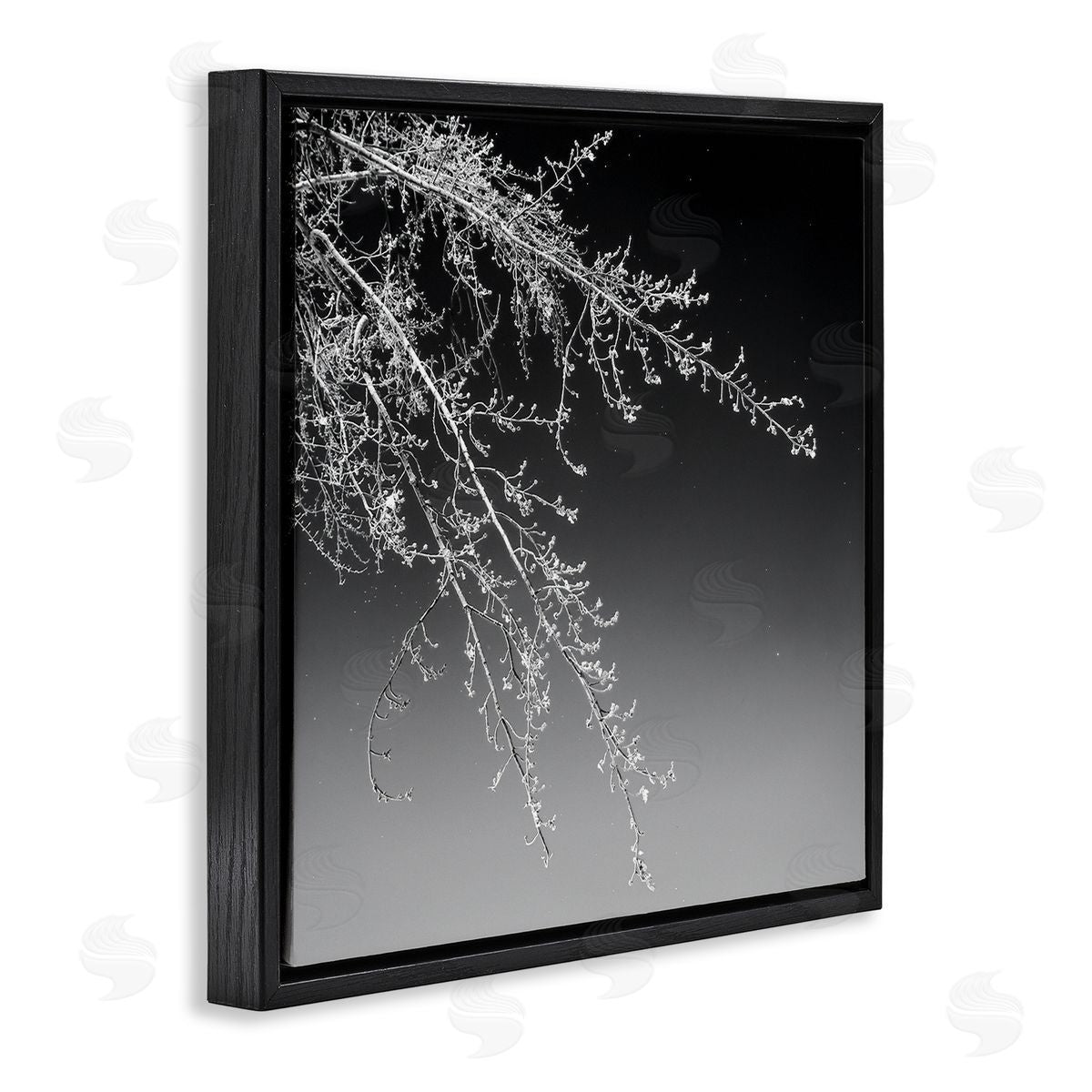 David Pollard Tree Branch Black and White Contrasting Starry Sky Black Floating Frame Canvas Wall Art Print