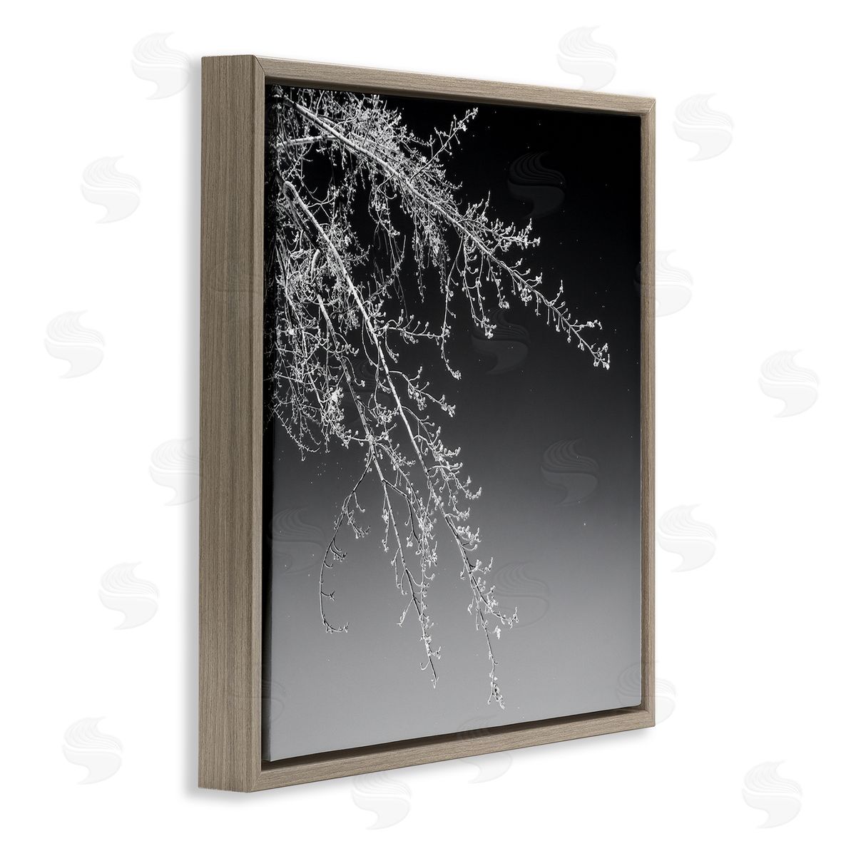 David Pollard Tree Branch Black and White Contrasting Starry Sky Brown Floating Frame Canvas Wall Art Print