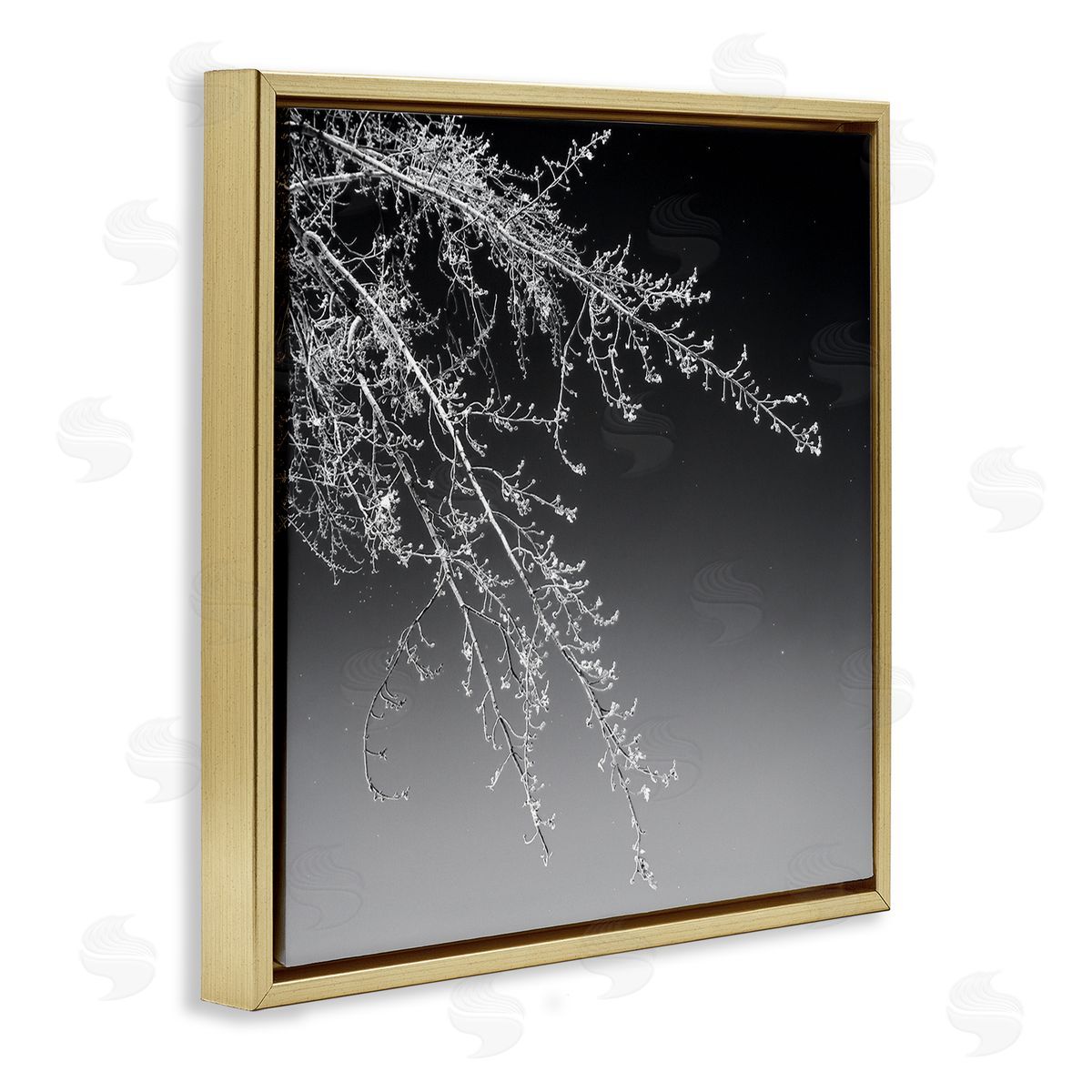 David Pollard Tree Branch Black and White Contrasting Starry Sky Gold Floating Frame Canvas Wall Art Print