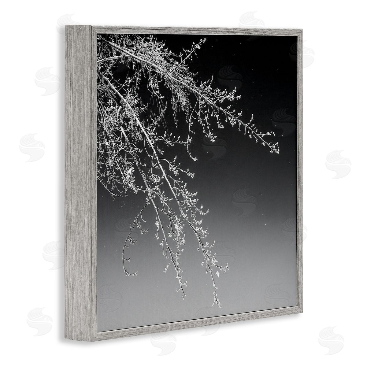 David Pollard Tree Branch Black and White Contrasting Starry Sky Gray Framed Glicee Wall Art Print