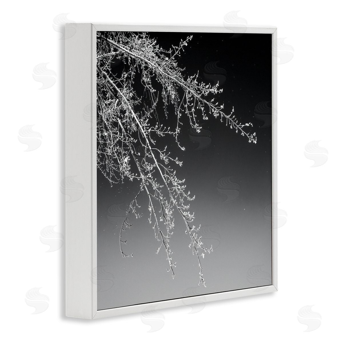 David Pollard Tree Branch Black and White Contrasting Starry Sky White Framed Glicee Wall Art Print