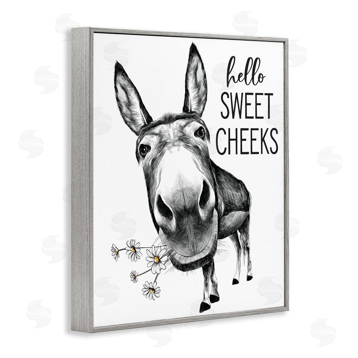 Lettered and Lined Hello Sweet Cheeks Animal Humor Donkey Daisies
