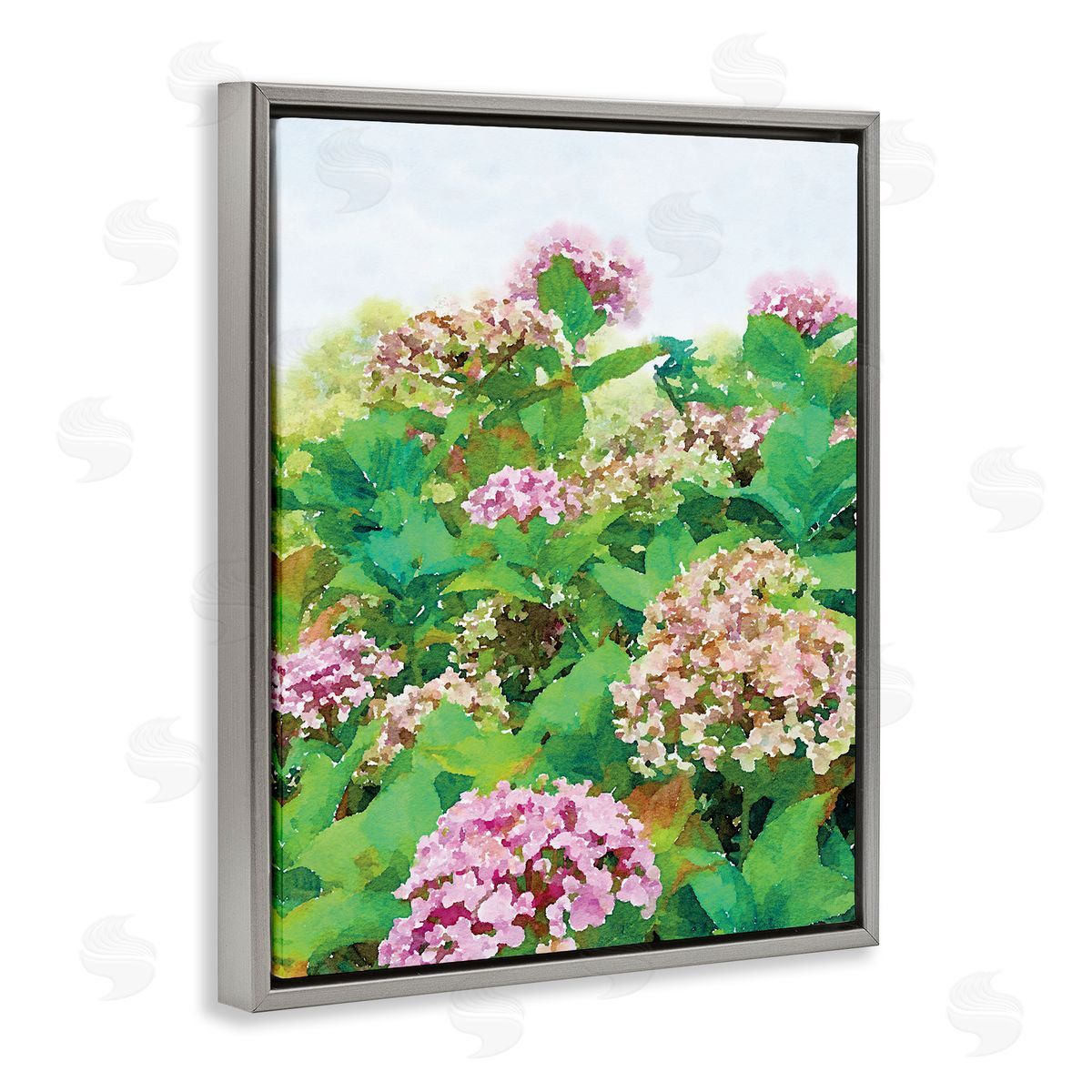 Emily Navas Pink Geranium Bushes In Field Clear Sky