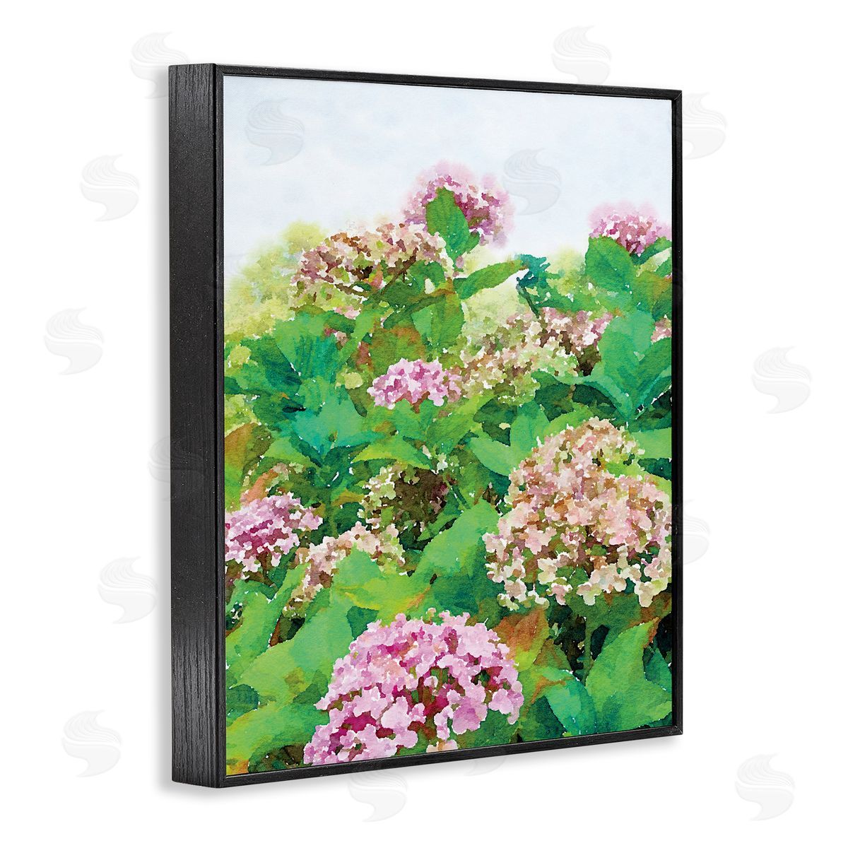 Emily Navas Pink Geranium Bushes In Field Clear Sky
