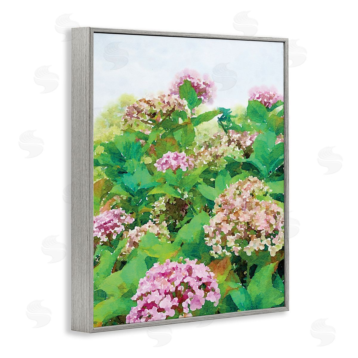 Emily Navas Pink Geranium Bushes In Field Clear Sky