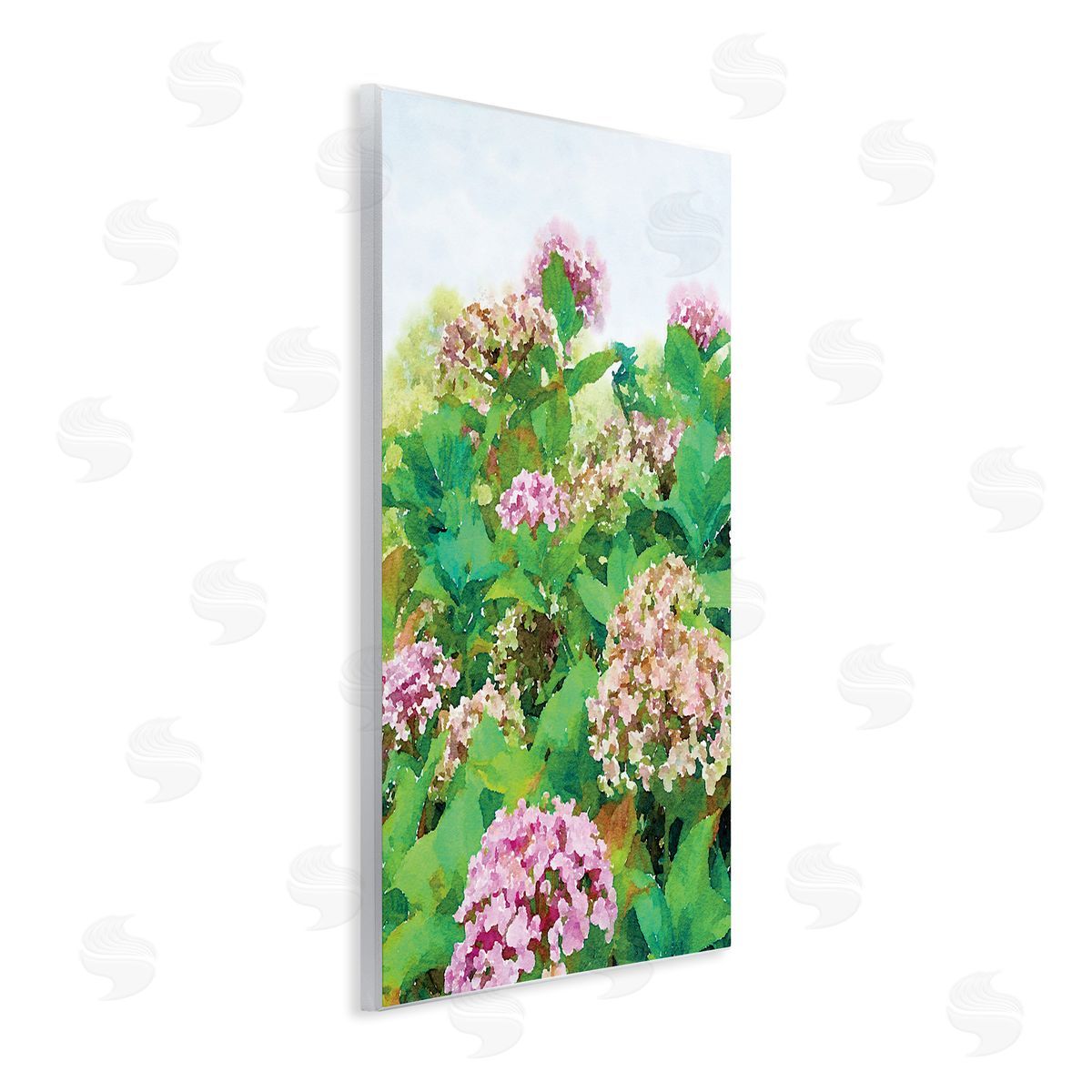 Emily Navas Pink Geranium Bushes In Field Clear Sky