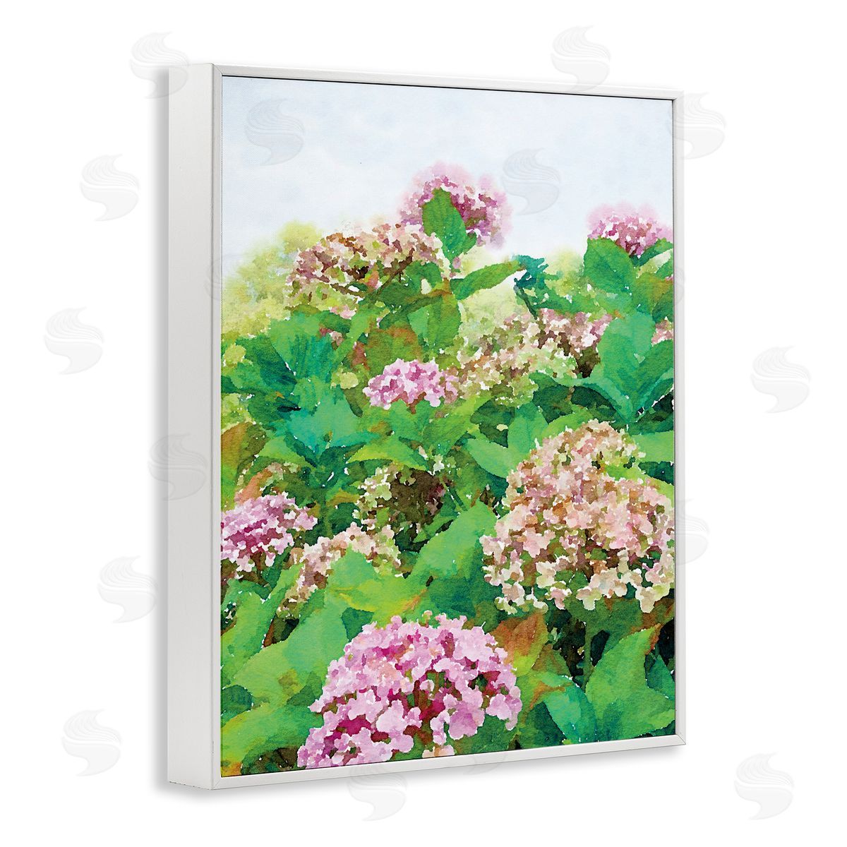 Emily Navas Pink Geranium Bushes In Field Clear Sky