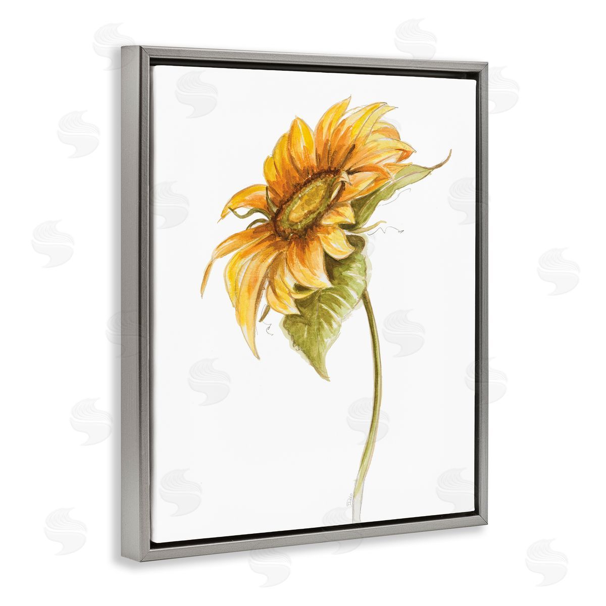 Patricia Pinto Soft Minimal Sunflower Floral Warm Summer Tones