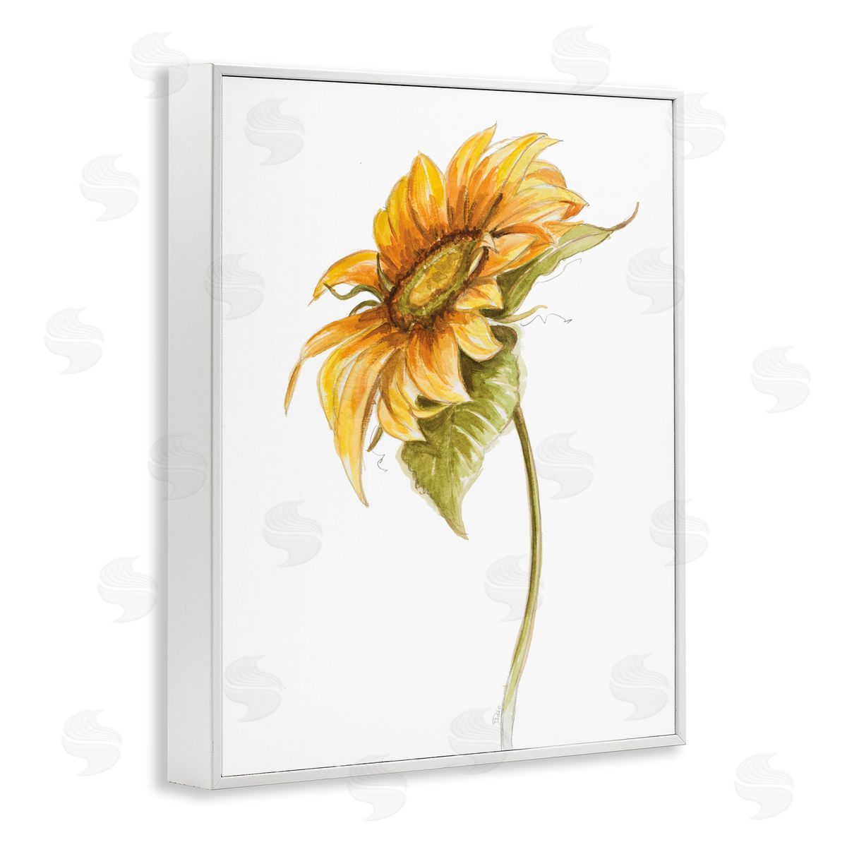 Patricia Pinto Soft Minimal Sunflower Floral Warm Summer Tones