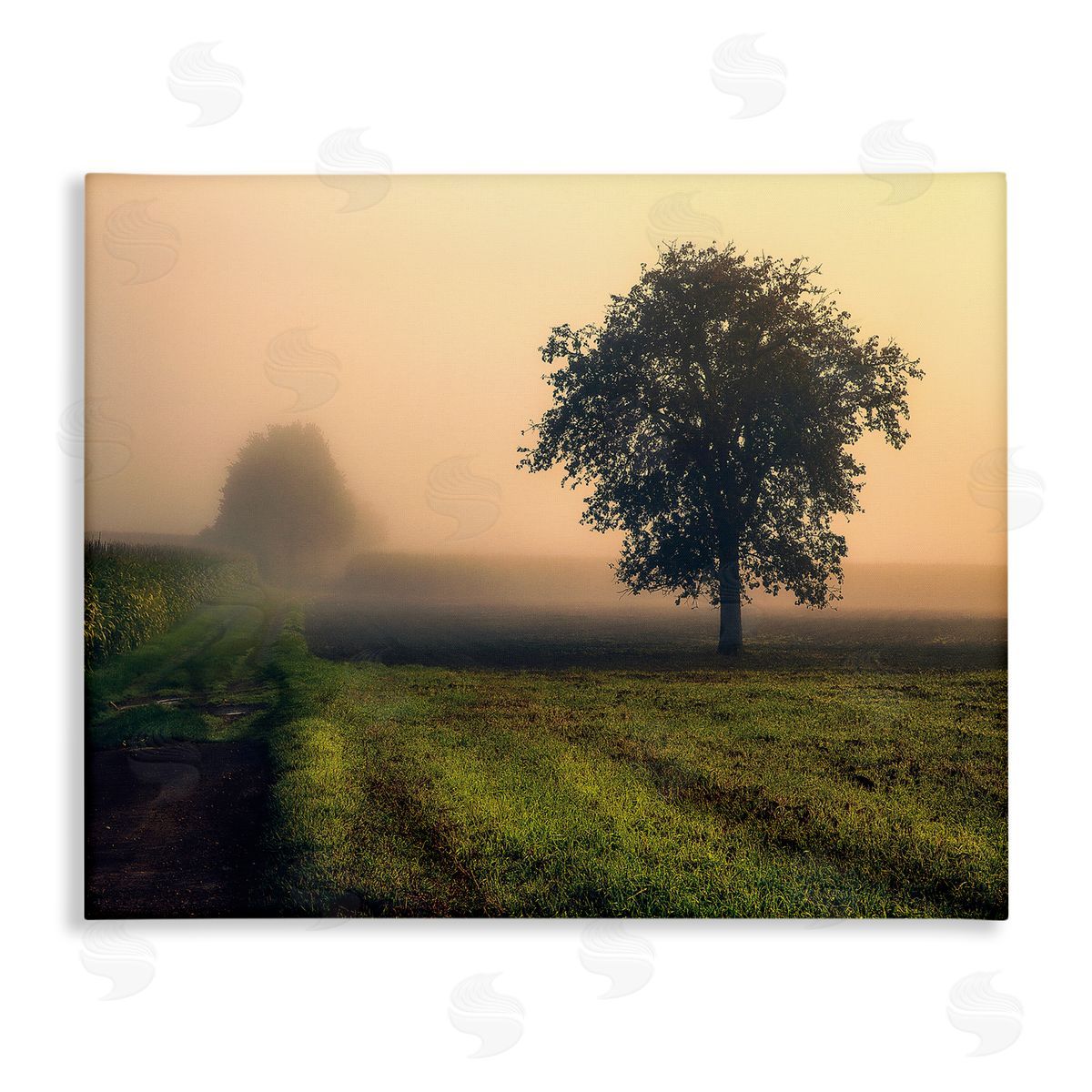 Dora Artemiadi Misty Morning Sunrise Countryside Tree Field