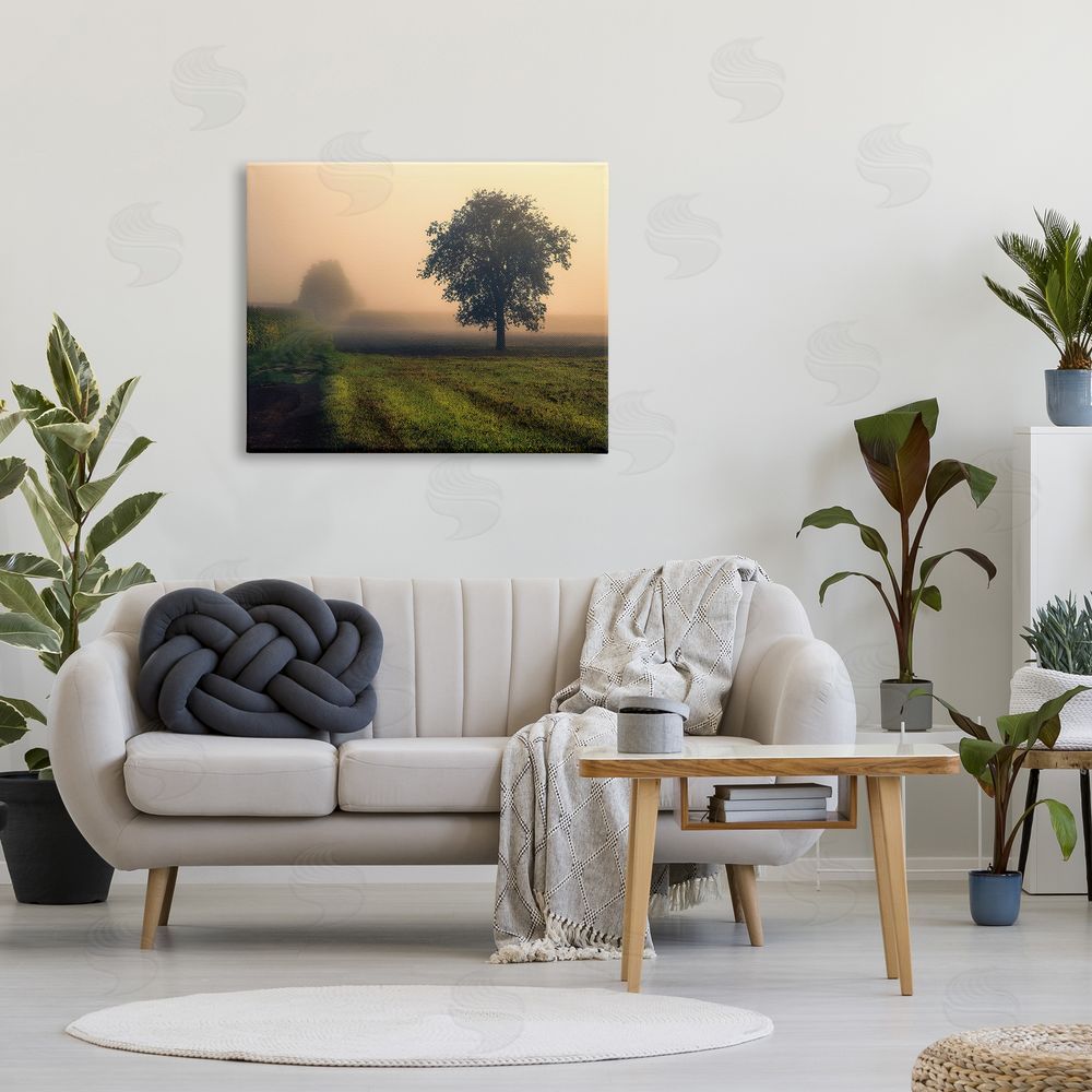 Dora Artemiadi Misty Morning Sunrise Countryside Tree Field