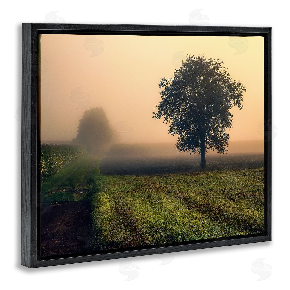 Dora Artemiadi Misty Morning Sunrise Countryside Tree Field