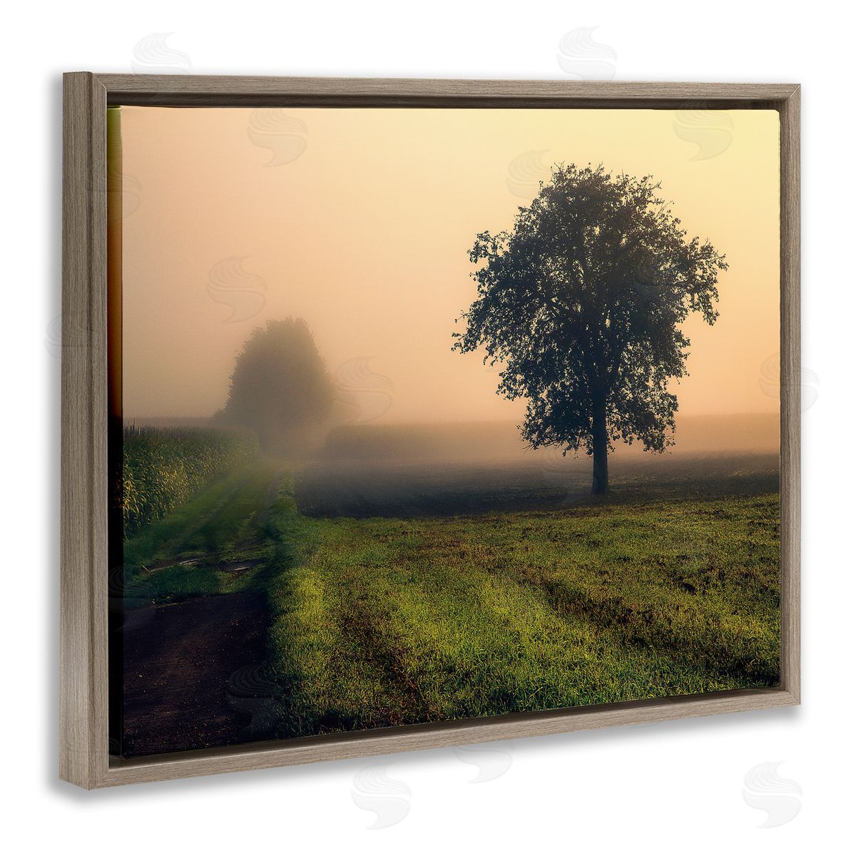 Dora Artemiadi Misty Morning Sunrise Countryside Tree Field
