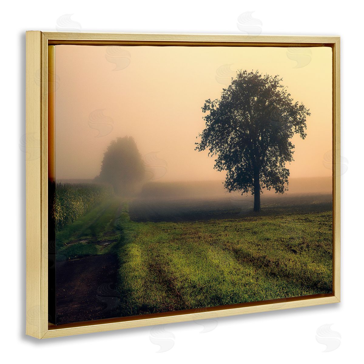 Dora Artemiadi Misty Morning Sunrise Countryside Tree Field