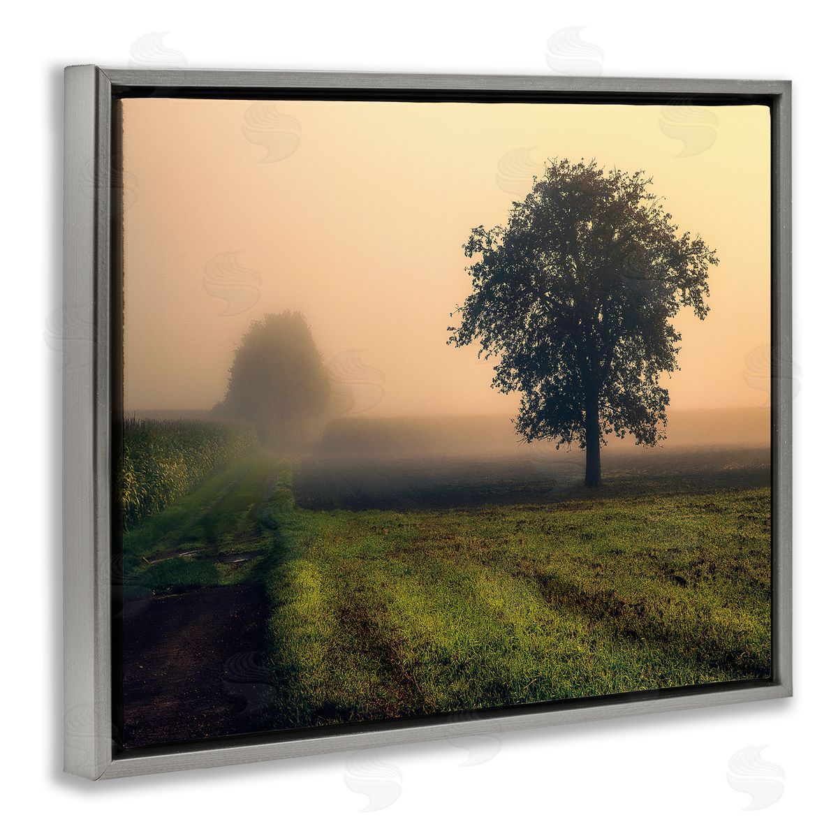 Dora Artemiadi Misty Morning Sunrise Countryside Tree Field