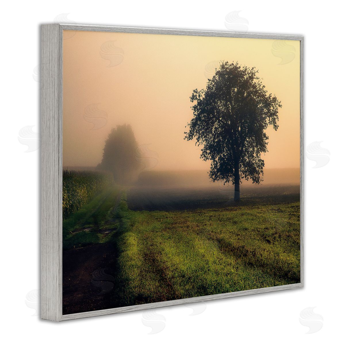 Dora Artemiadi Misty Morning Sunrise Countryside Tree Field