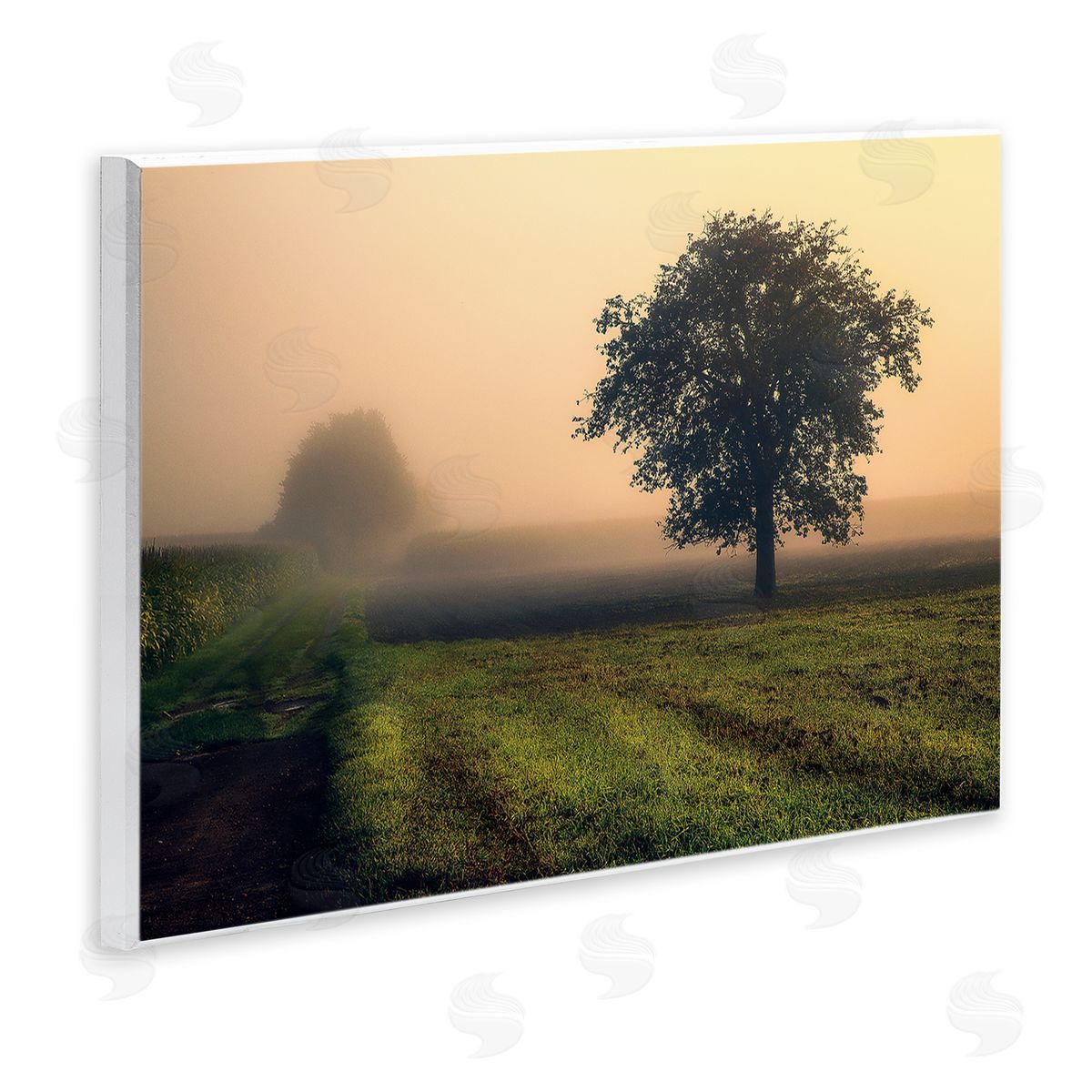 Dora Artemiadi Misty Morning Sunrise Countryside Tree Field