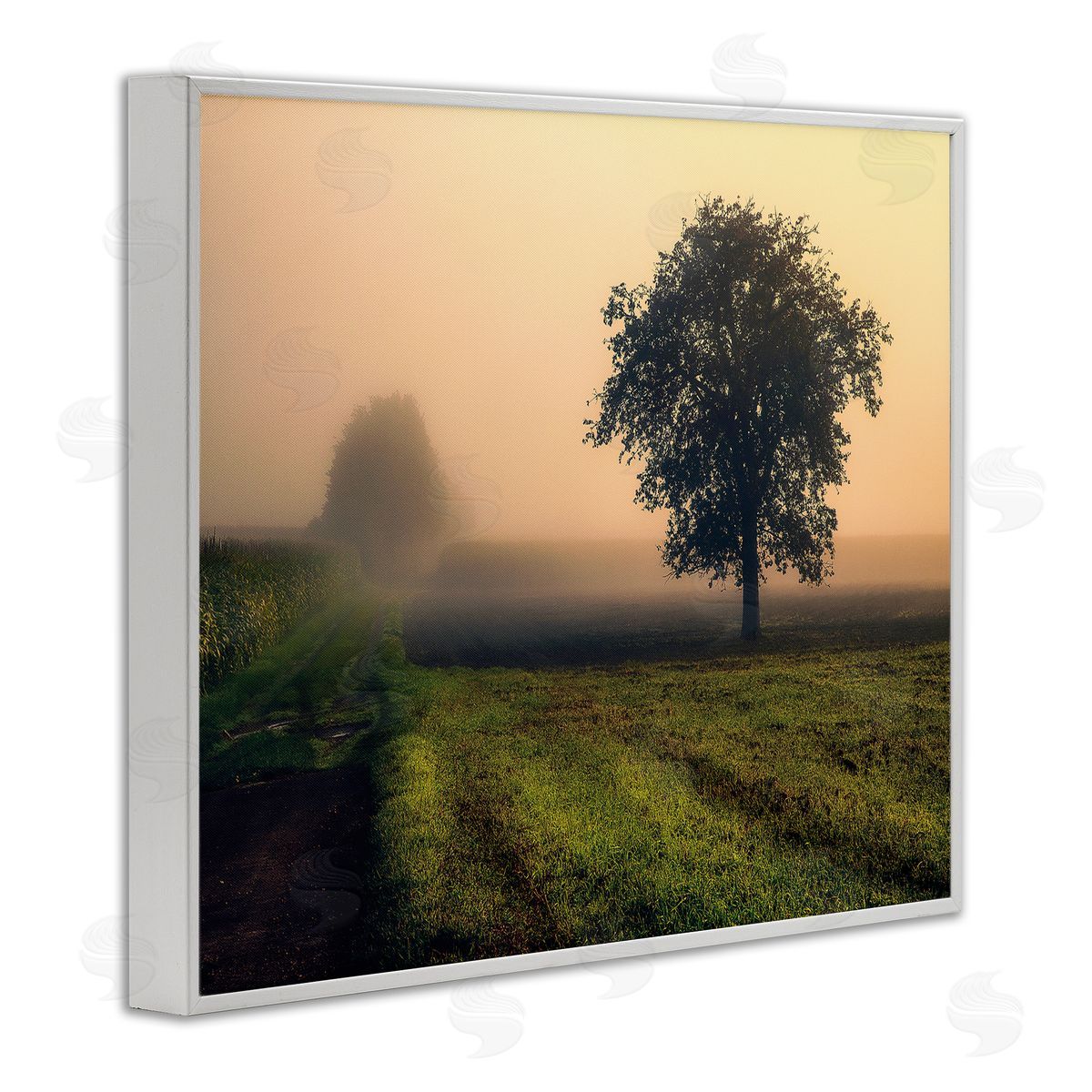 Dora Artemiadi Misty Morning Sunrise Countryside Tree Field