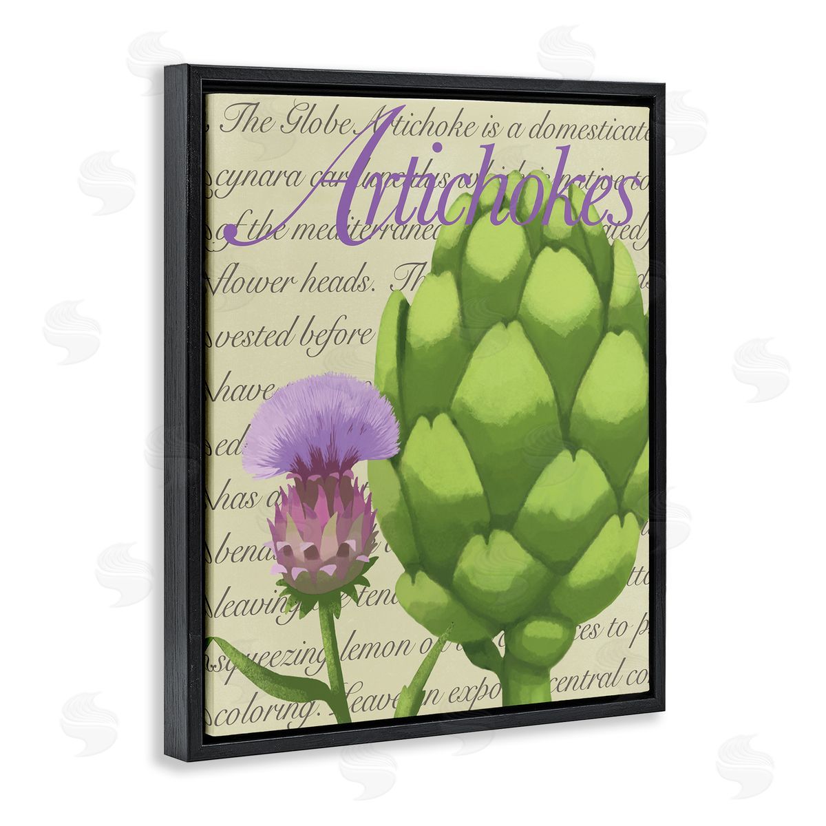 Sally Springer Griffith Artichoke Blooming Florals Green Vegetable Traditional Script Black Floating Frame Canvas Wall Art Print