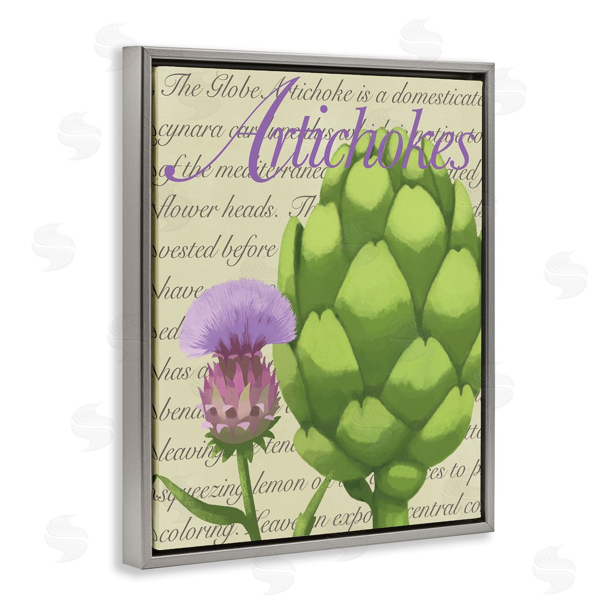 Sally Springer Griffith Artichoke Blooming Florals Green Vegetable Traditional Script Gray Floating Frame Canvas Wall Art Print