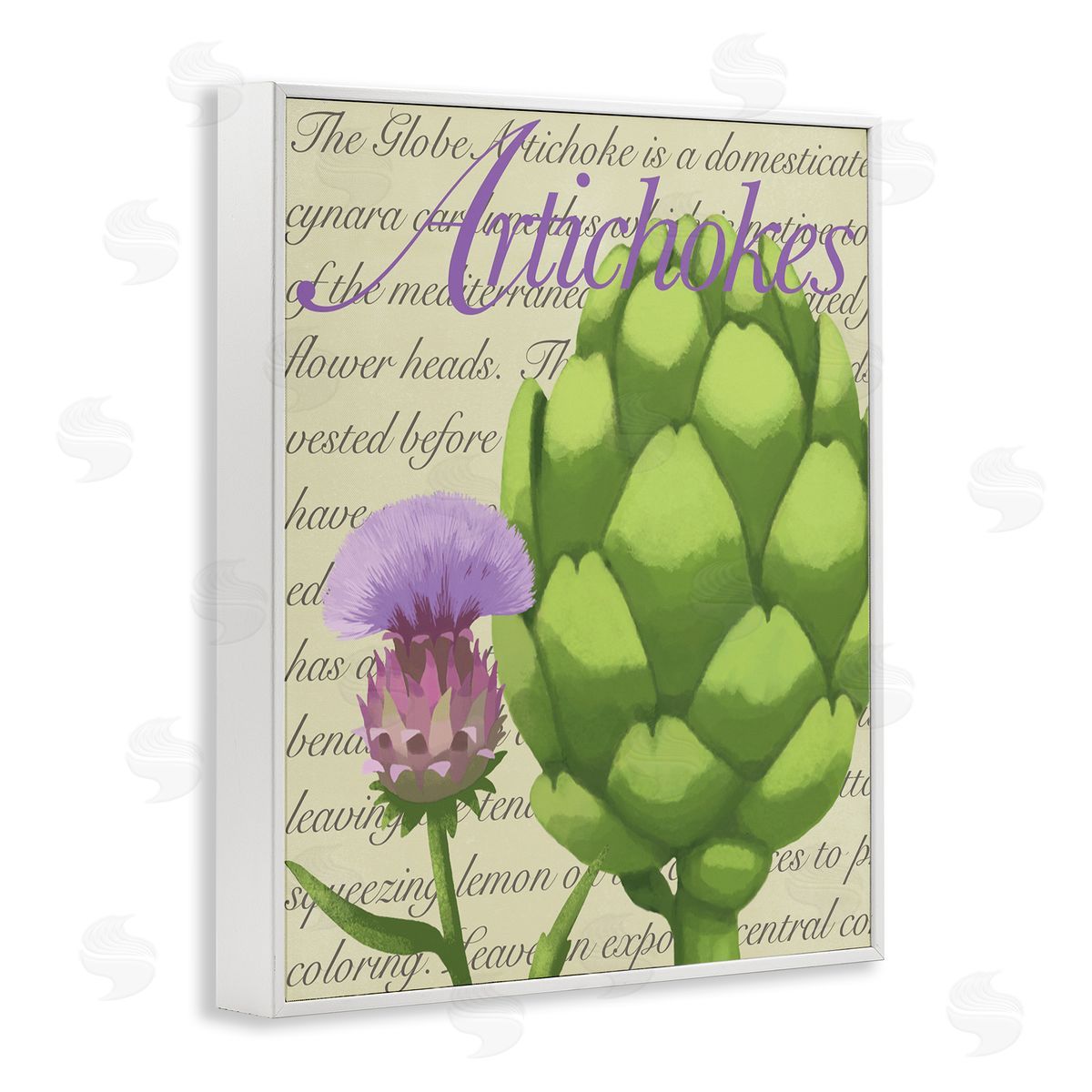 Sally Springer Griffith Artichoke Blooming Florals Green Vegetable Traditional Script White Framed Glicee Wall Art Print
