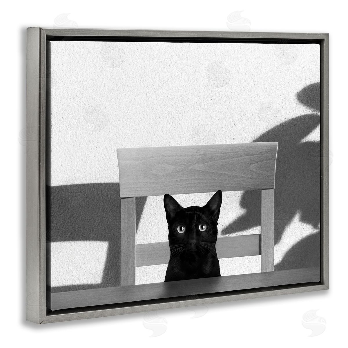 Jon Bertelli Black Cat at Kitchen Table Pet Animal Photograph