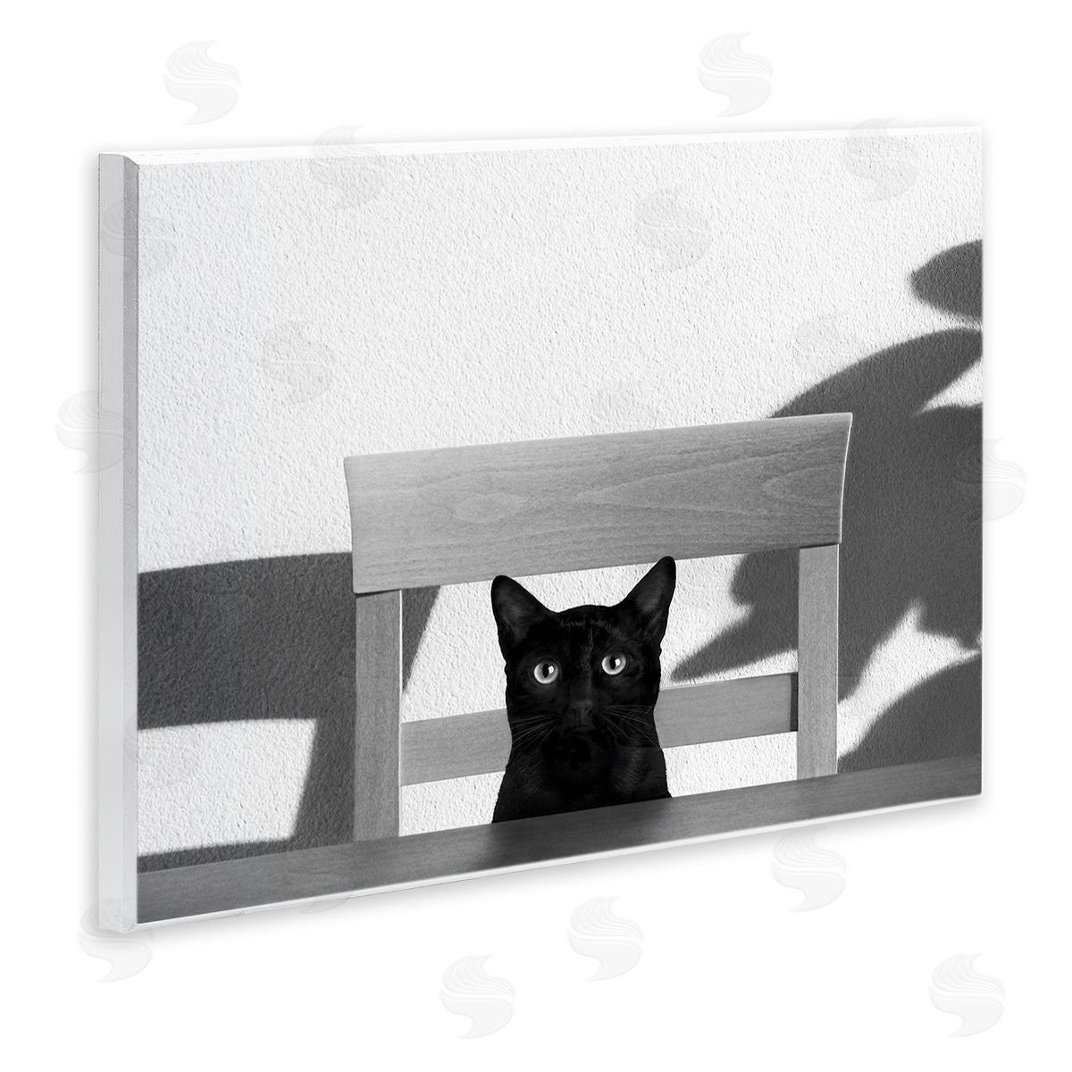 Jon Bertelli Black Cat at Kitchen Table Pet Animal Photograph
