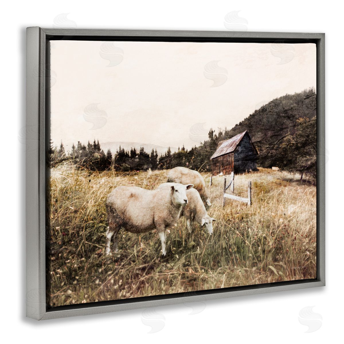 Bluebird Barn Autumn Field Farm Sheep Grazing Wilderness Barn