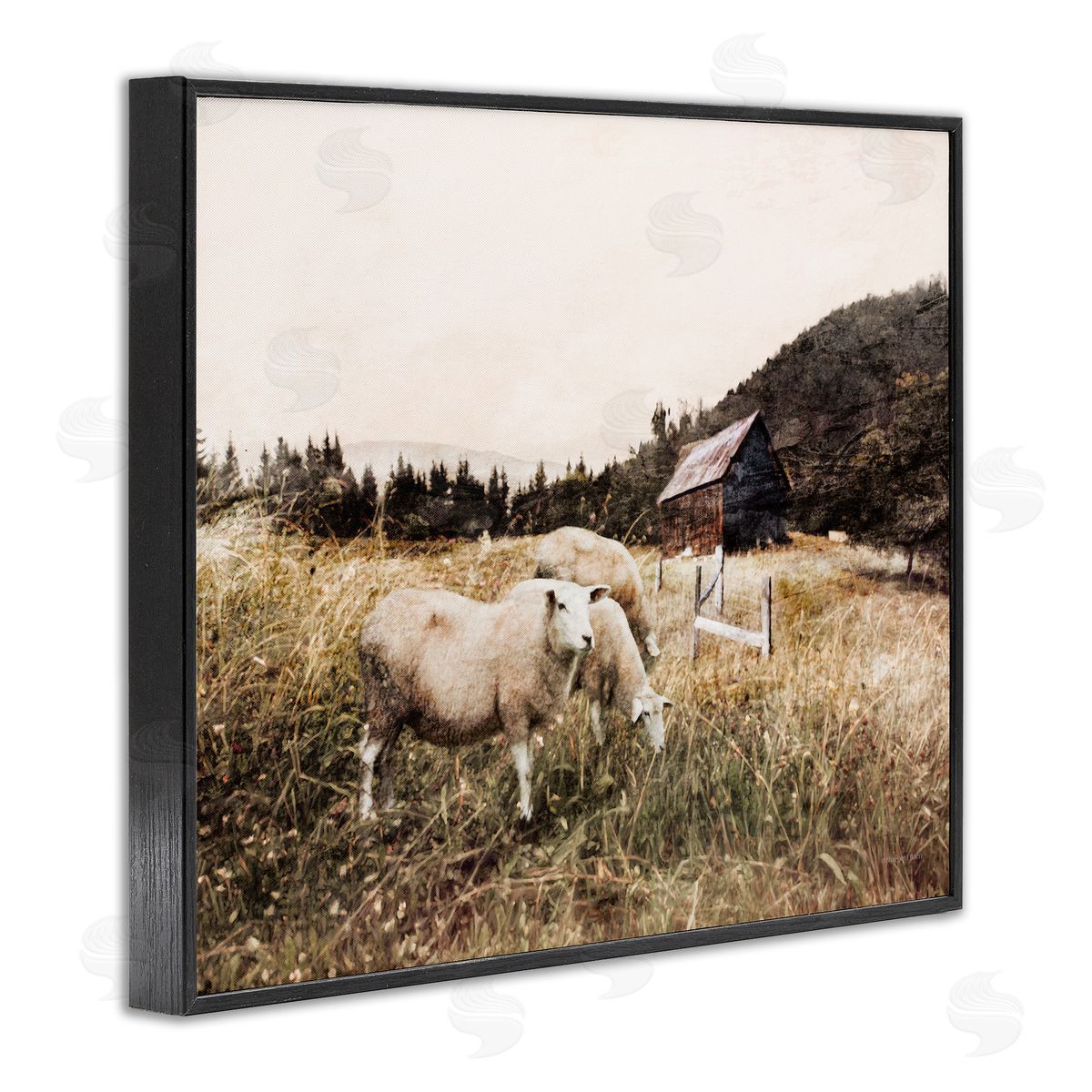 Bluebird Barn Autumn Field Farm Sheep Grazing Wilderness Barn