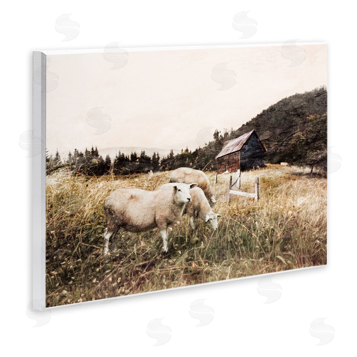 Bluebird Barn Autumn Field Farm Sheep Grazing Wilderness Barn