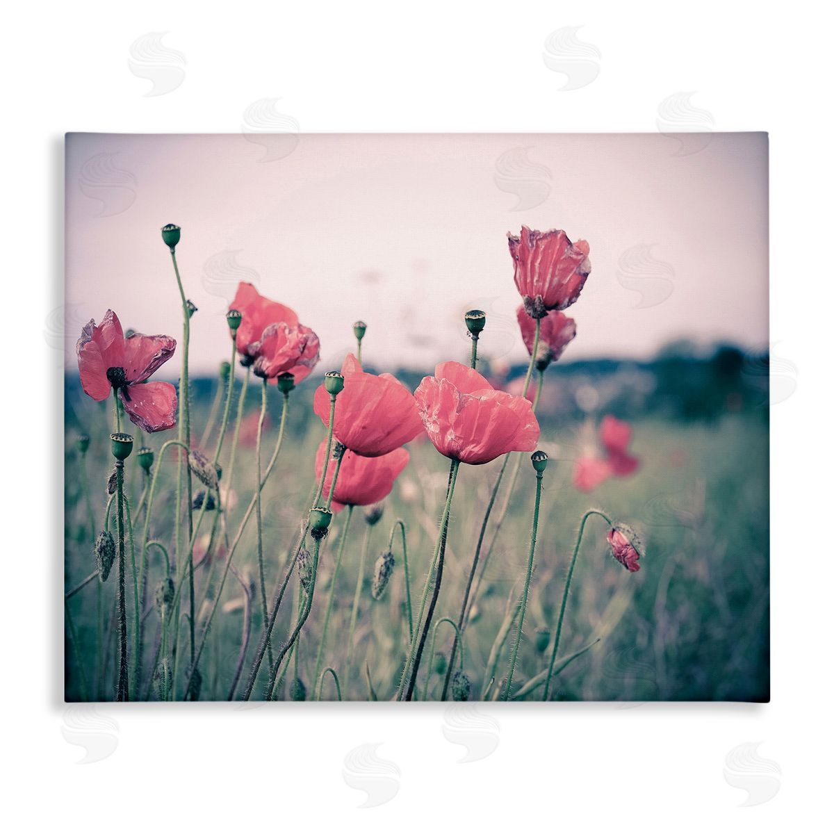 Adelino Goncalves Autumn Poppy Field Muted Sky Floral Landscape