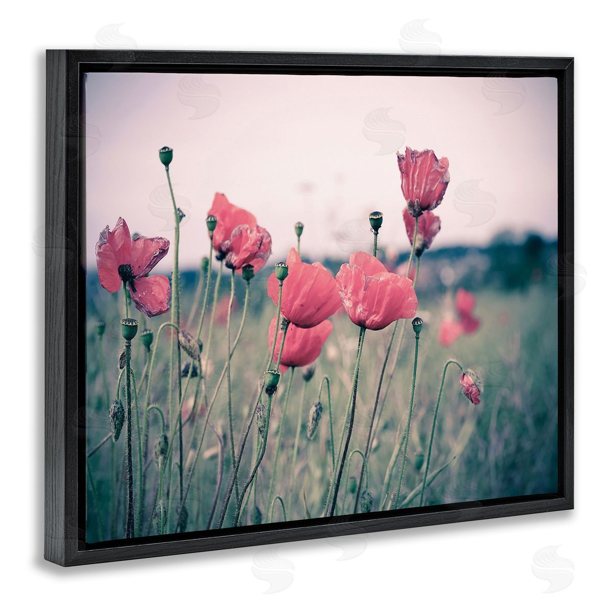 Adelino Goncalves Autumn Poppy Field Muted Sky Floral Landscape
