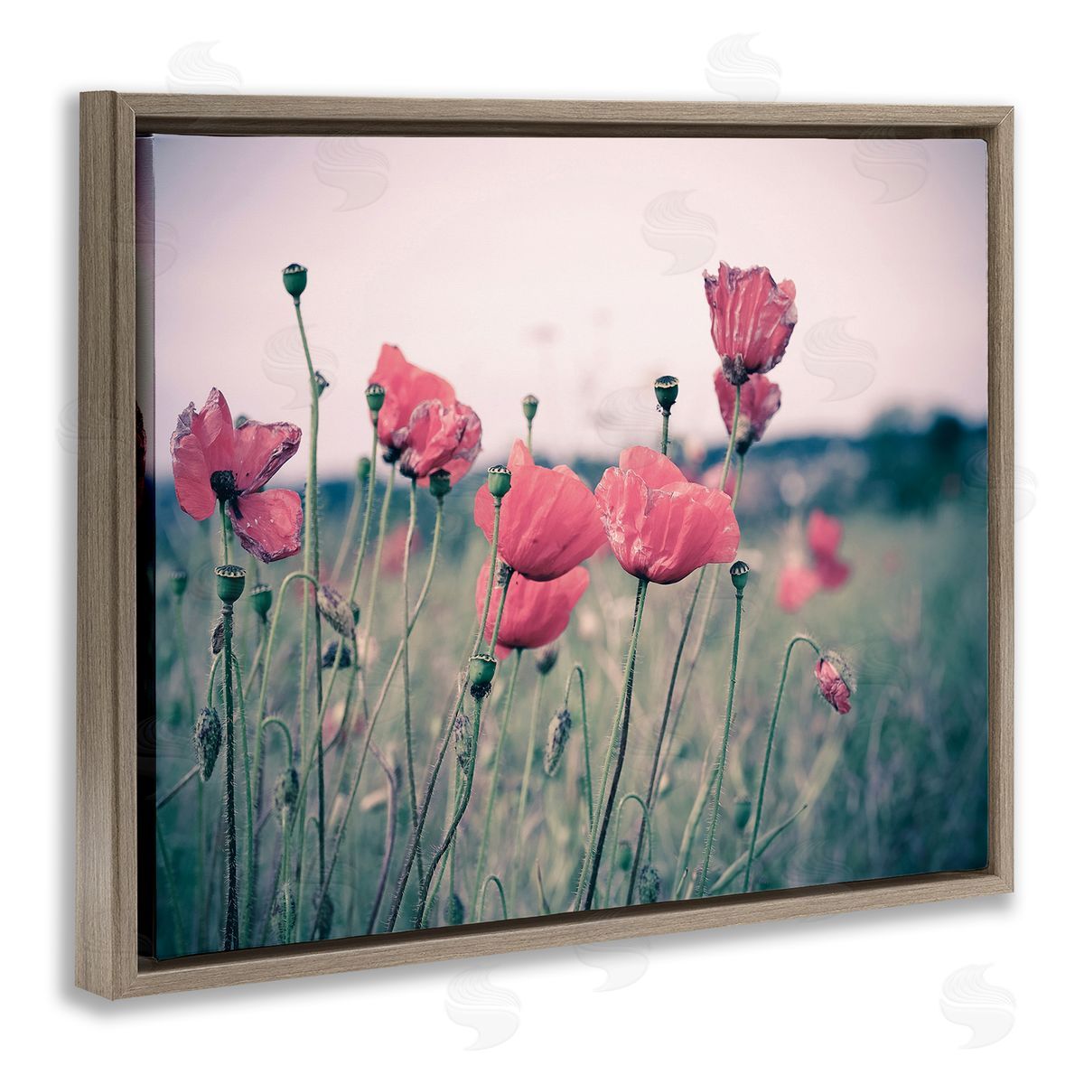 Adelino Goncalves Autumn Poppy Field Muted Sky Floral Landscape