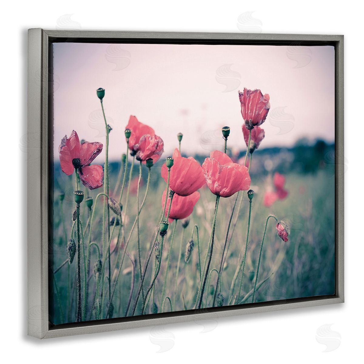 Adelino Goncalves Autumn Poppy Field Muted Sky Floral Landscape