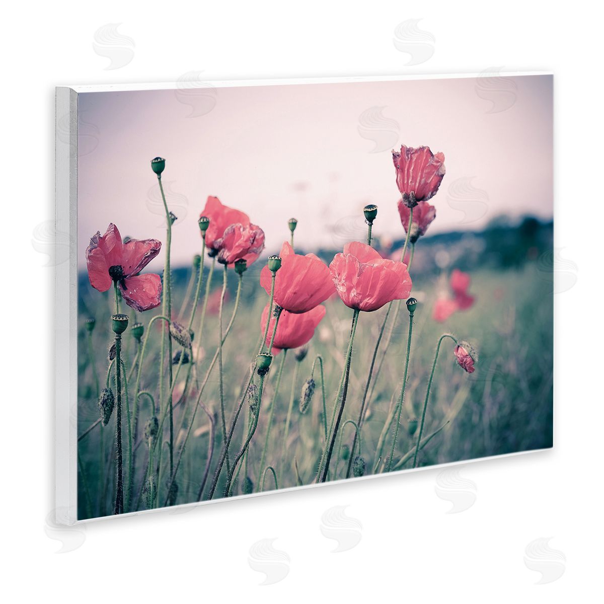 Adelino Goncalves Autumn Poppy Field Muted Sky Floral Landscape