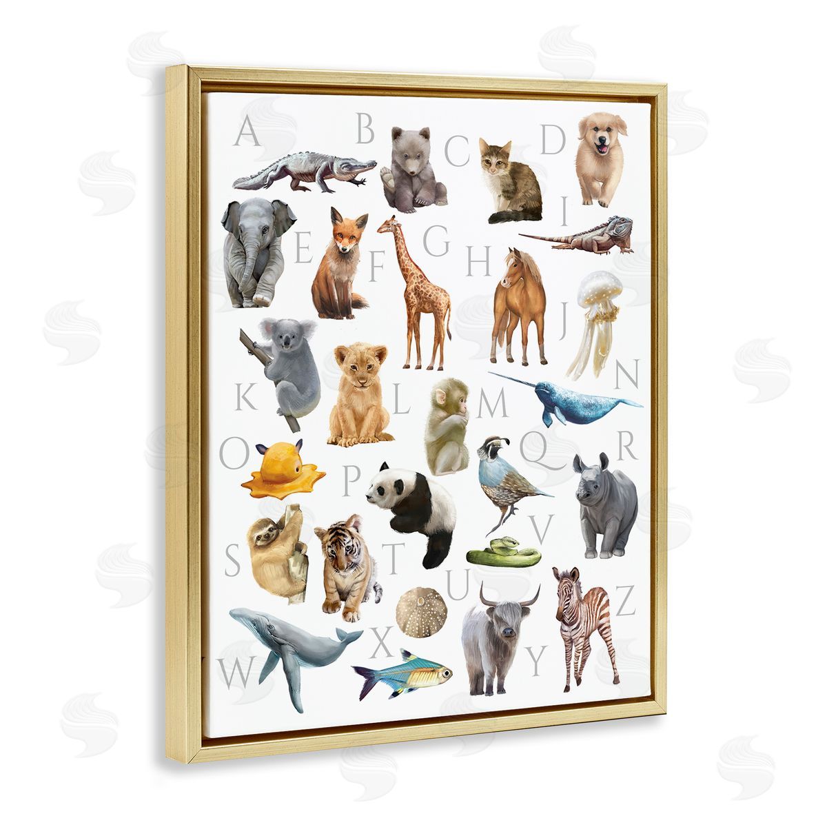 Ziwei Li Traditional ABC Alphabet Animals of the World